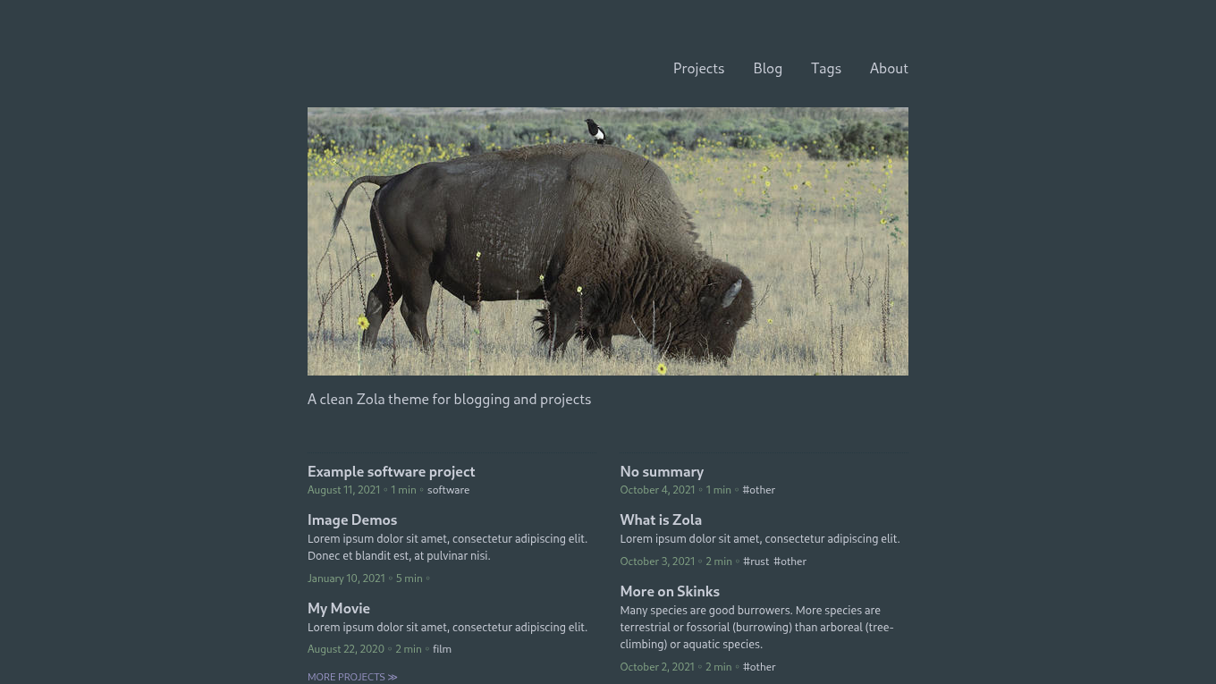 Dark mode screenshot of prairie Zola theme demo website