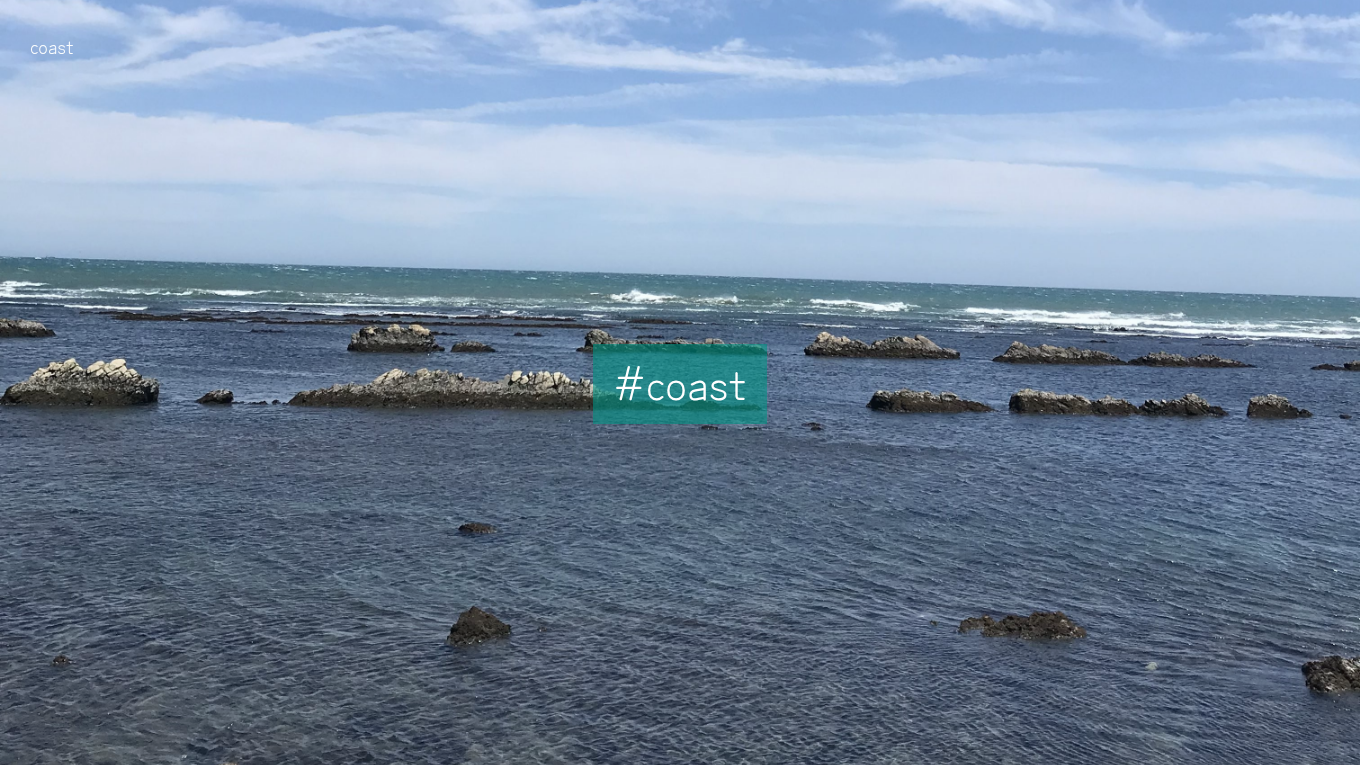 Light mode screenshot of coast Zola theme demo website