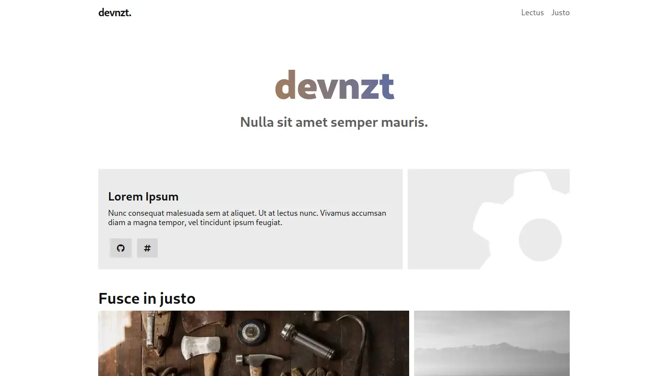 Screenshot of the devnzt theme