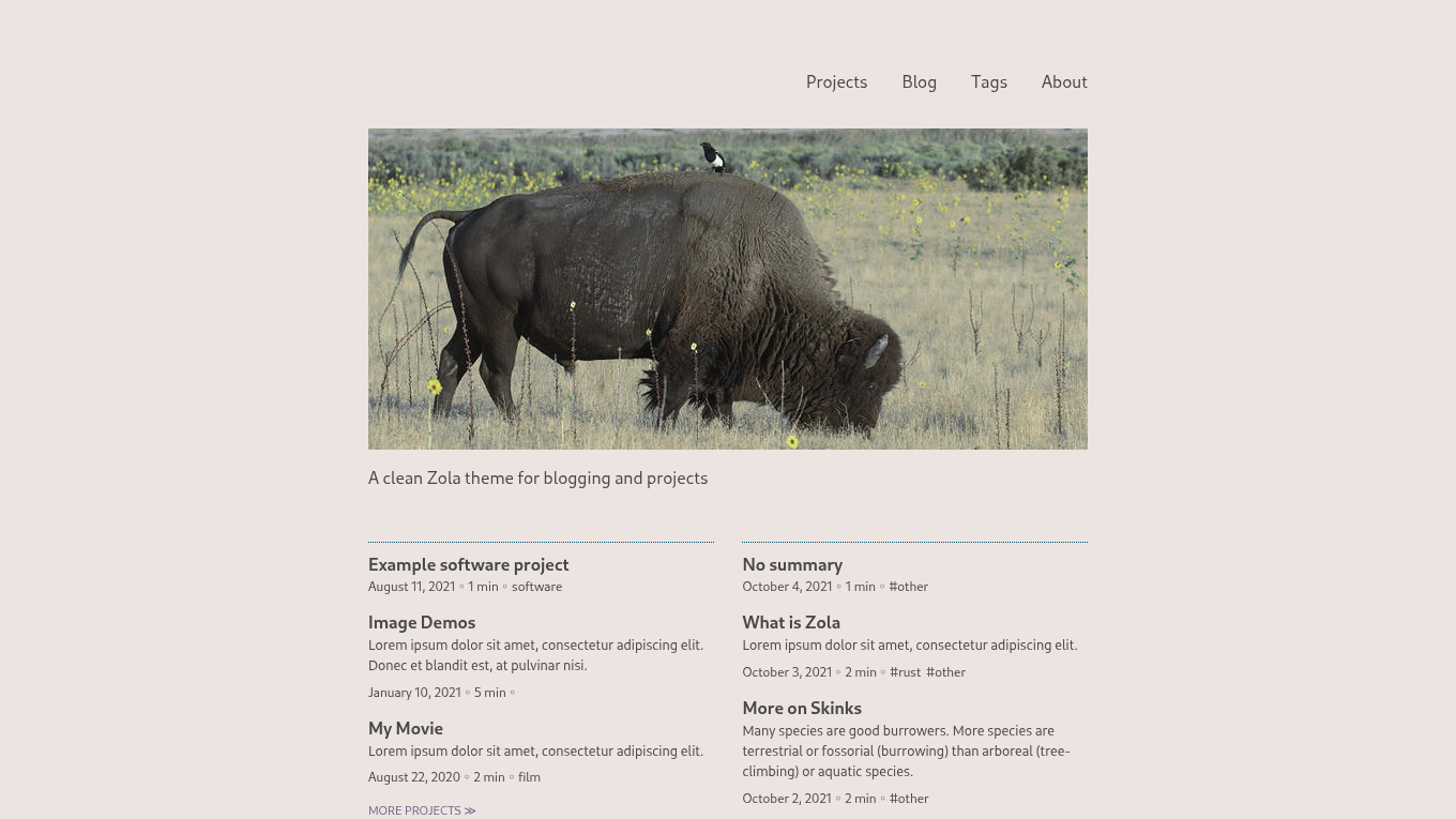 Light mode screenshot of prairie Zola theme demo website